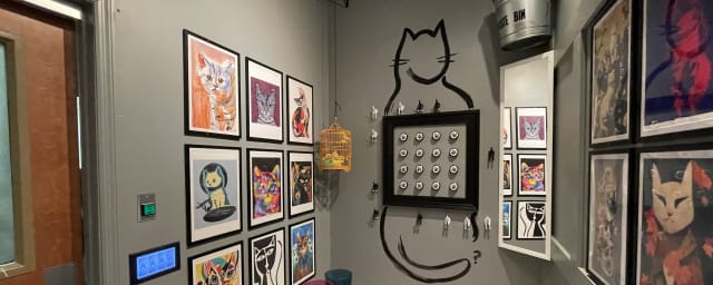 Murfreesboro Escape Rooms (Stones River), from its own website