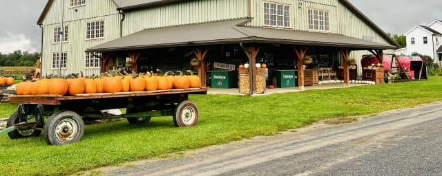The Green Barn Berry Farm, from its own website