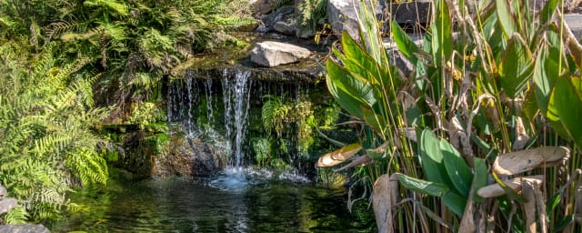 UT Gardens Knoxville, from its own website