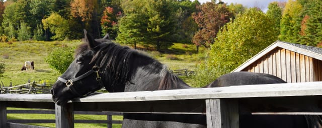 Fenimore Farm & Country Village, from its own website