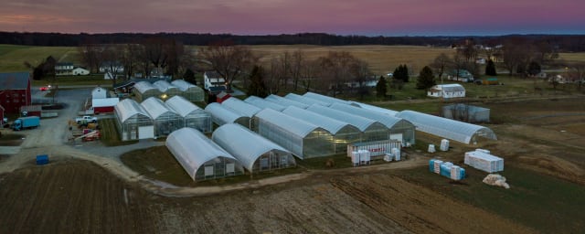 Catalpa Grove Farm, from its own website