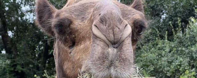Fifth Day Farm, from its own website