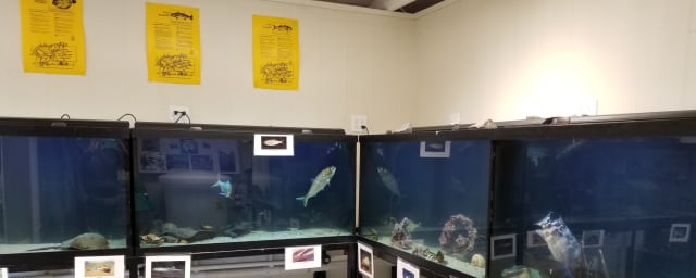 Marine Education Center, from its own website