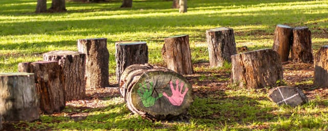 Mead Botanical Garden, from its own website