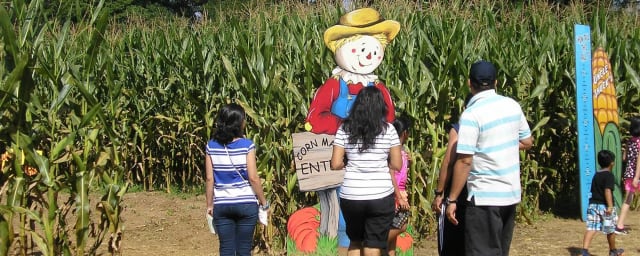 Uncle Shuck's Corn Maze and Pumpkin Patch, from its own website