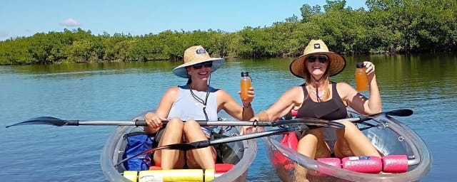 Savvy Paddles Clear Kayaking & Paddleboard Tours, from its own website