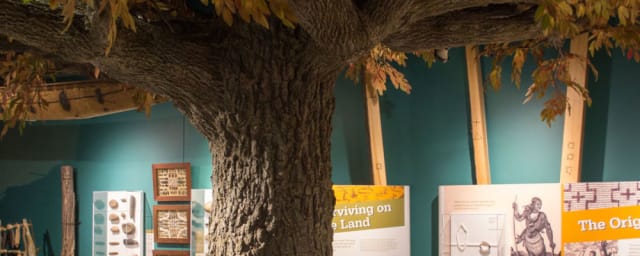Sigal Museum and Northampton County Historical and Genealogical Society, from its own website