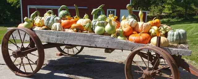 Starlight Acres, from its own website