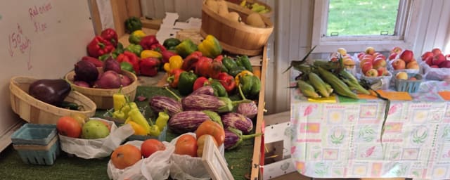 Coyle's Pumpkin Ranch And Farm, from its own website
