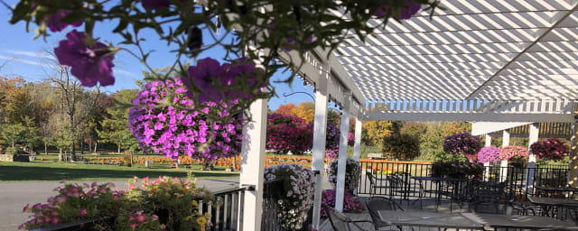 DuBois Farms, from its own website