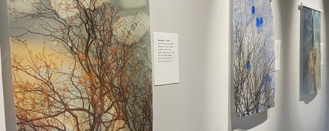 HD South - Home of the Gilbert Museum, from its own website
