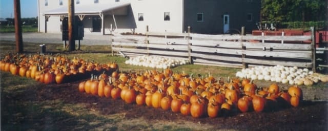 Barn N Bunk Farm Market, from its own website