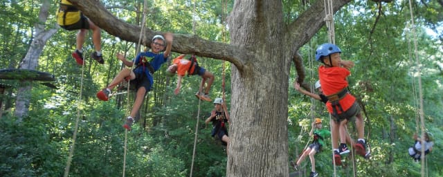 Piedmont Tree Climbing, from its own website