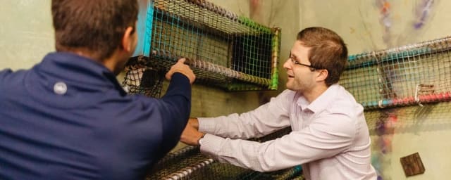 Total Escape - Escape Room, from its own website