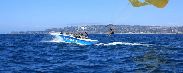 Wild Ocean Safari, from its own website