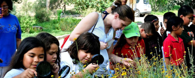 National Butterfly Center, from its own website
