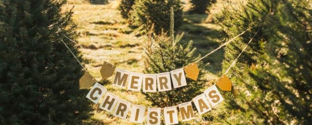 Miller's Christmas Tree Farm - Elizabethtown, from its own website