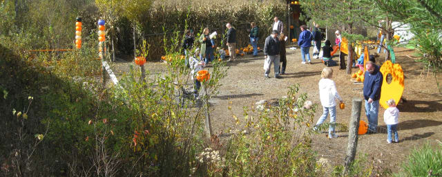 Mohawk Valley Heritage Railroad, from its own website