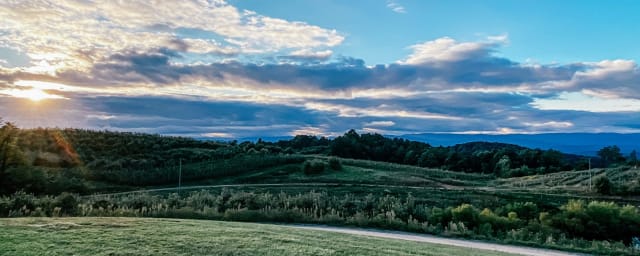 Perry Lowe Orchards, from its own website