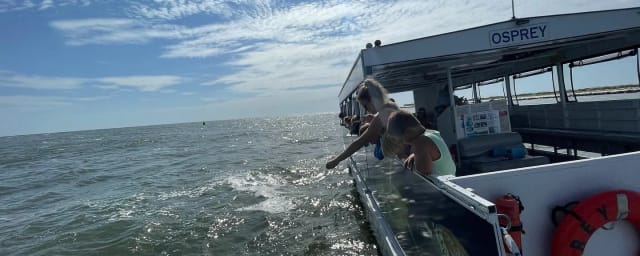 Florida Water Warriors, from its own website