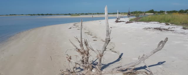 Anclote Key Preserve State Park, from its own website