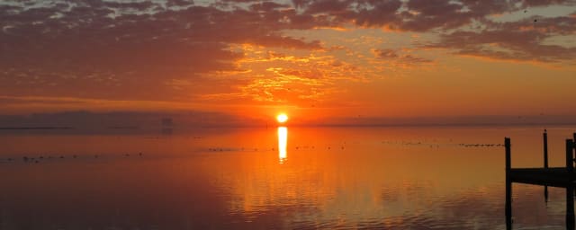 Indian River Lagoon Preserve State Park, from its own website