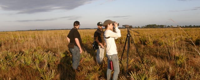Kissimmee Prairie Preserve State Park, from its own website