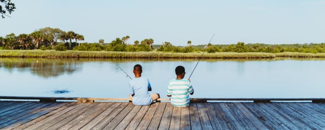 Tomoka State Park, from its own website