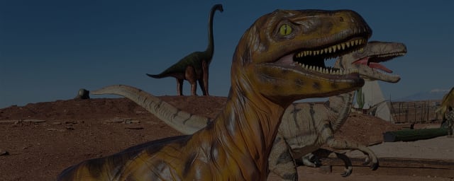 Meteor City Trading Post, from its own website