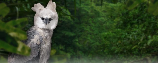 National Aviary, from its own website