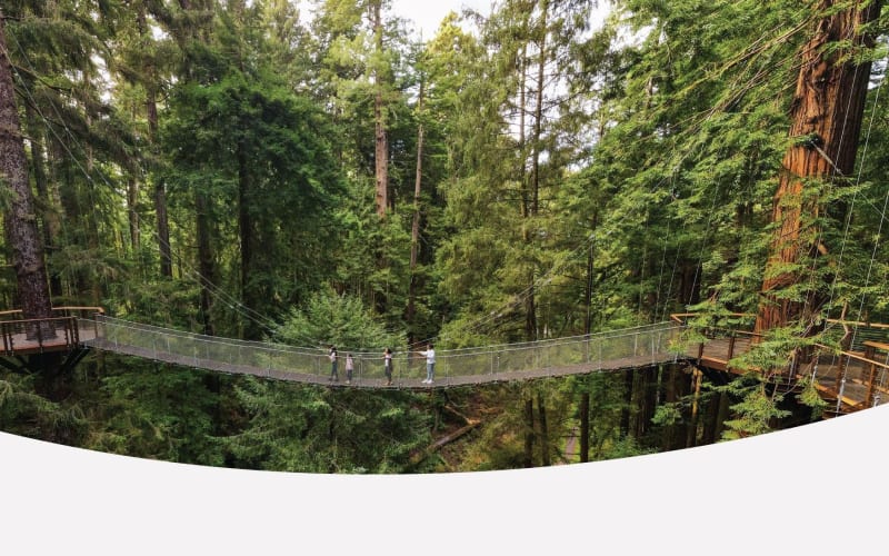 Redwood Sky Walk at Sequoia Park Zoo, from its own website