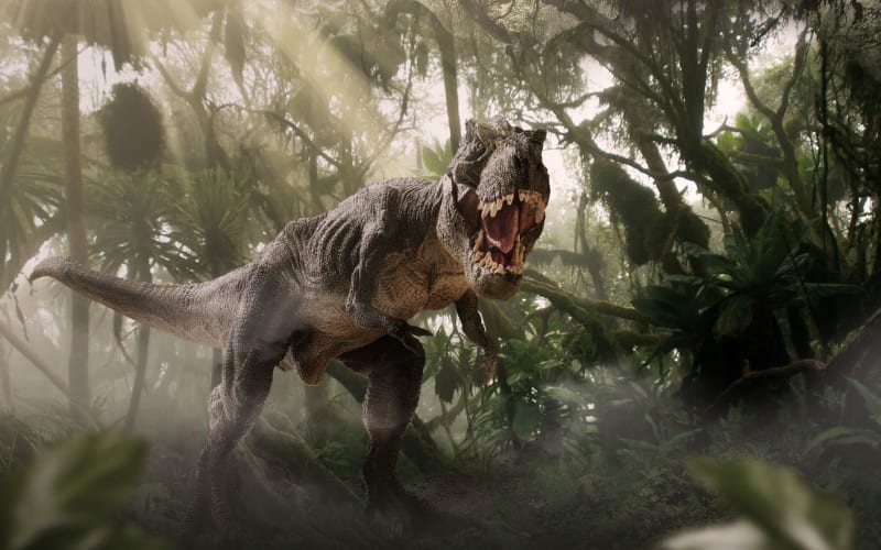 Dinos Alive: The Immersive Experience - Oakland, from its own website
