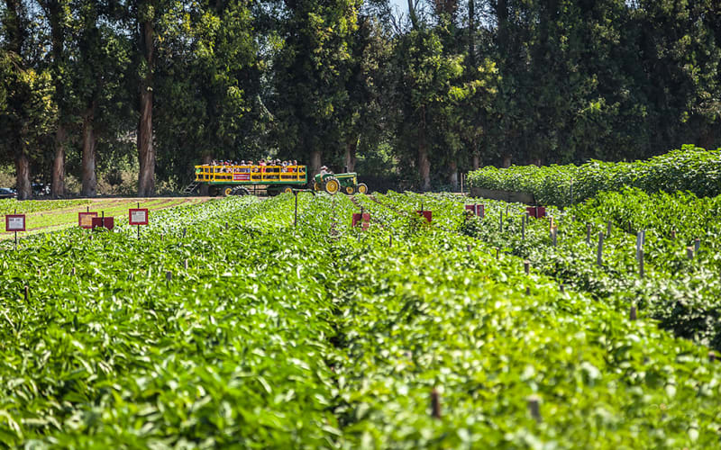 Underwood Family Farms, from its own website