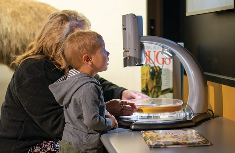 San Bernardino Museums, from its own website