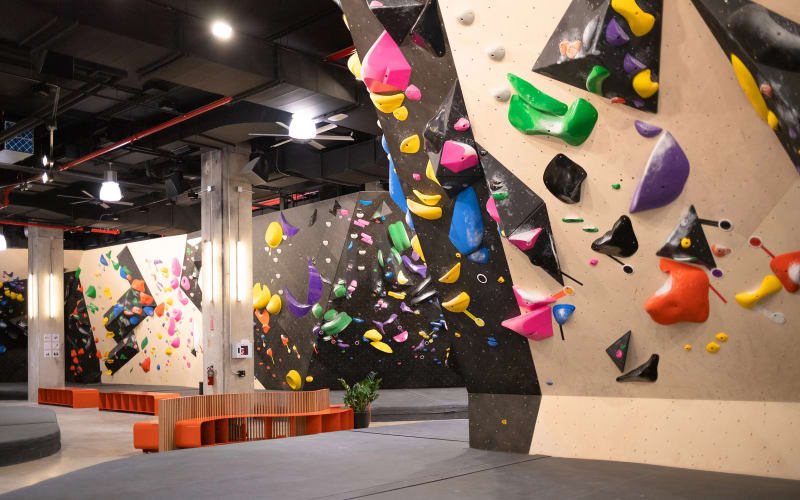 Vital Climbing Gym - Oceanside, from its own website