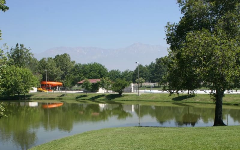 Cucamonga-Guasti Regional Park, from its own website