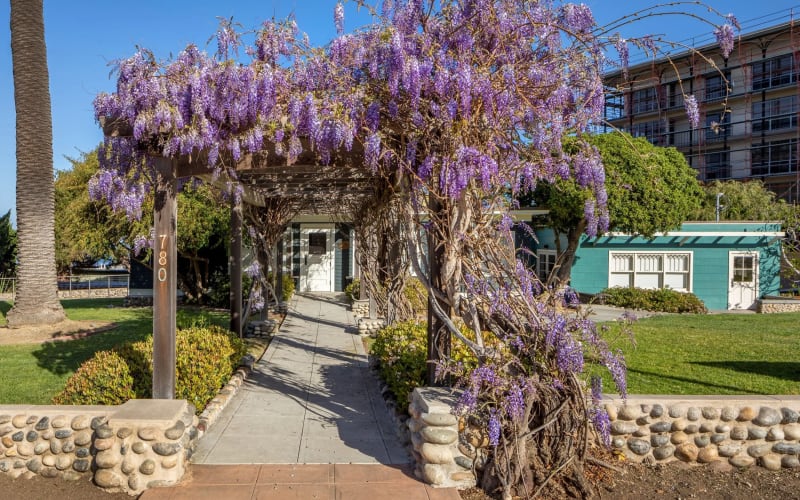 La Jolla Historical Society Wisteria Cottage Museum, from its own website
