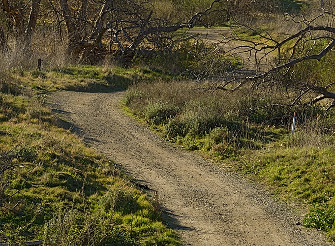 Chino Hills State Park, from its own website