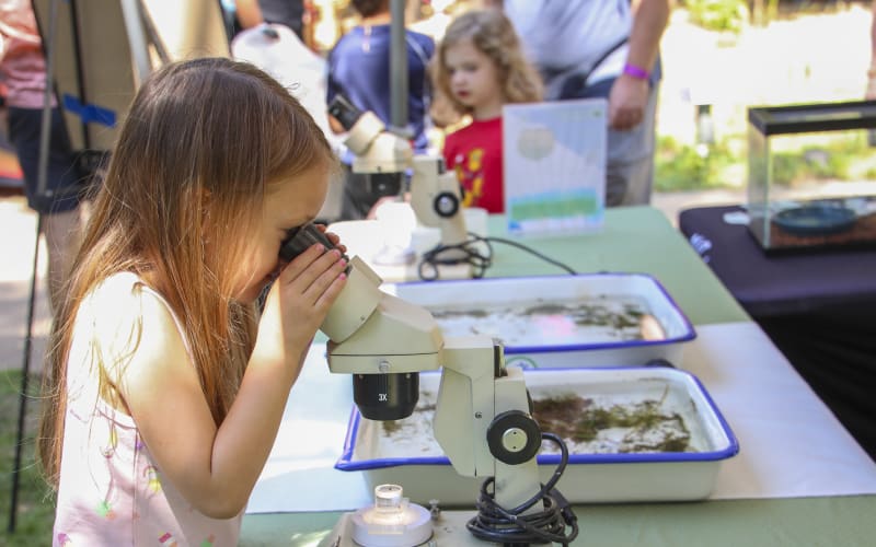 Effie Yeaw Nature Center, from its own website