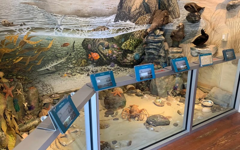 Natural History Museum, from its own website