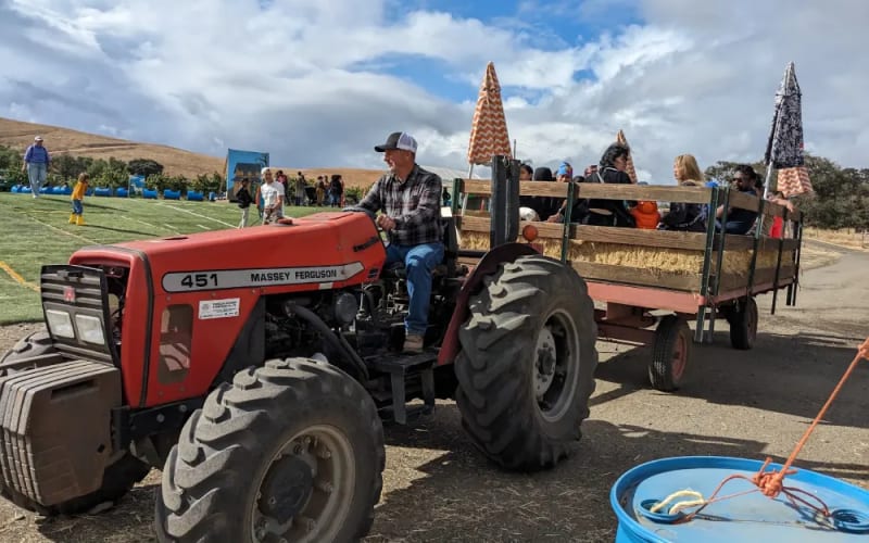 Joan's Farm and Pumpkin Patch, from its own website