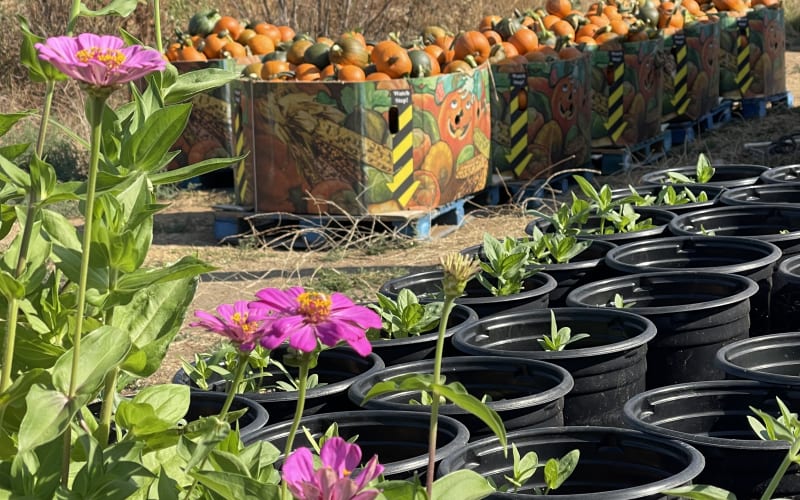 California Farm Life, from its own website