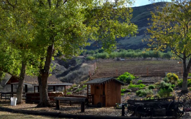 Greenspot Farms, from its own website