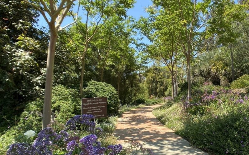 Niguel Botanical Preserve, from its own website