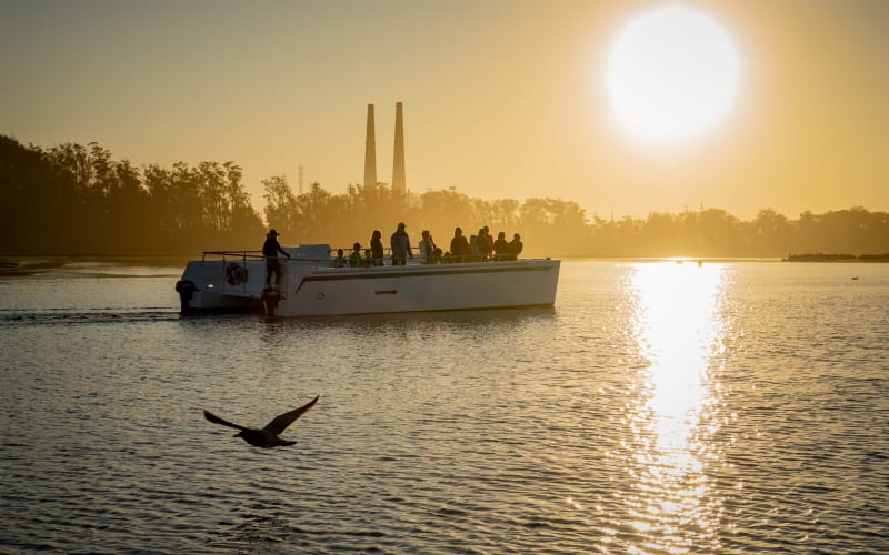 Monterey Bay Eco Tours - Elkhorn Slough Eco Nature Tour, from its own website