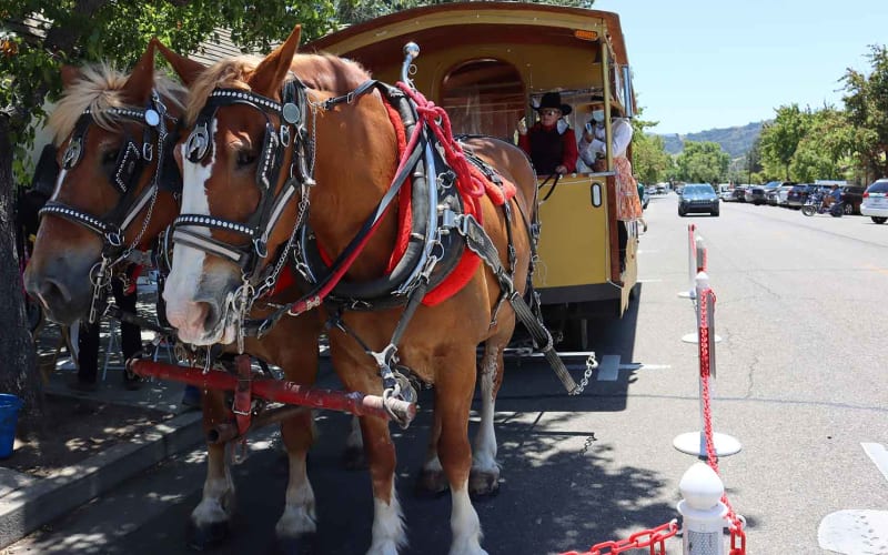 Solvang Trolley & Carriage Tours, from its own website