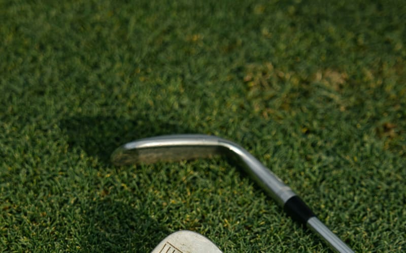 The Loma Club, from its own website