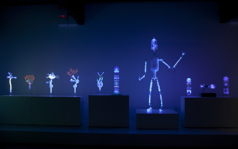 Museum of Neon Art, from its own website