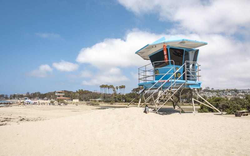 Doheny State Beach, from its own website