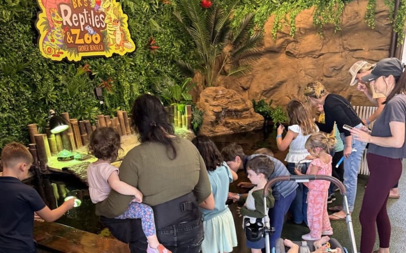 BK's Reptiles and Zoo, from its own website